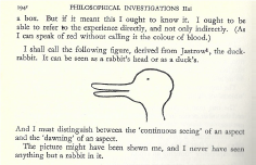 Now you see it: Ludwig Wittgenstein’s famous duck/ rabbit diagram explores the problems of perception
